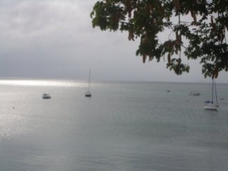 vieques-serenity